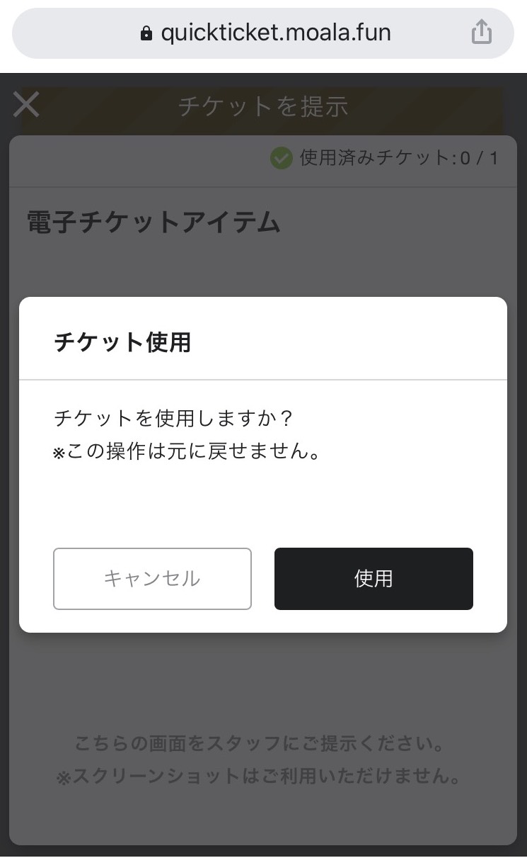 電子チケット利用当日②.jpeg